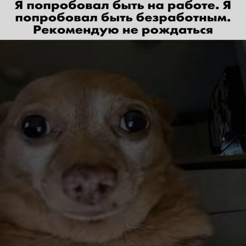 Ночная подборочка
Спать, режим