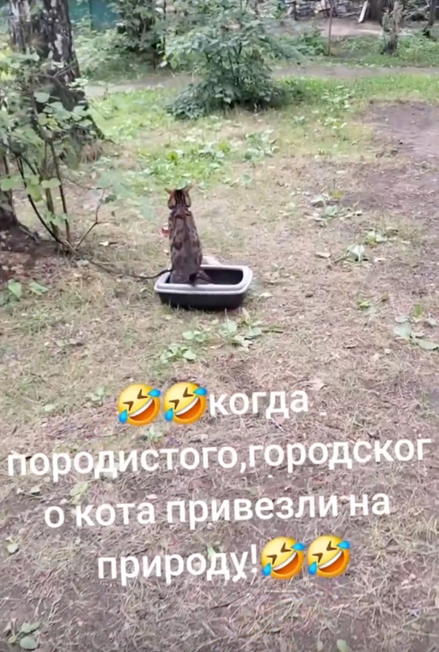 Бедняжка... Он способен какать только в своём доме 🤭😆