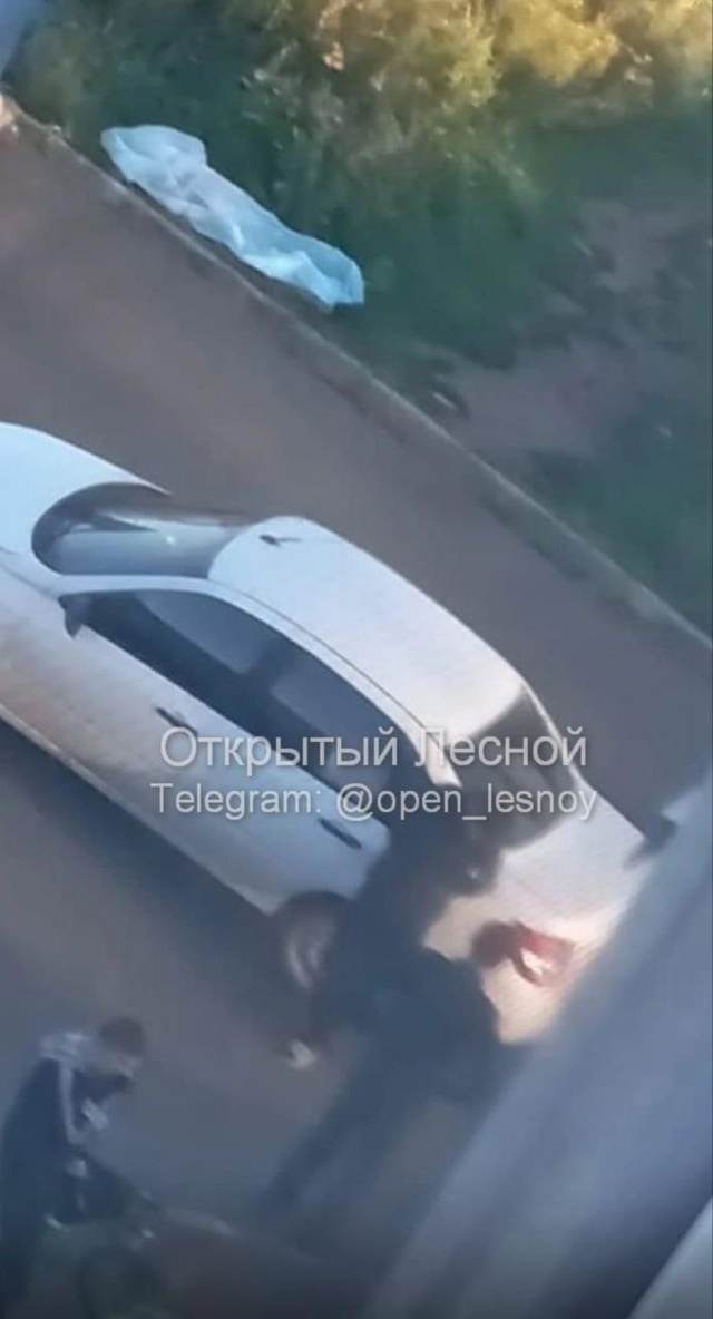 В Нижней Туре кавказец убил женщину и ранил её мужа.
Об...