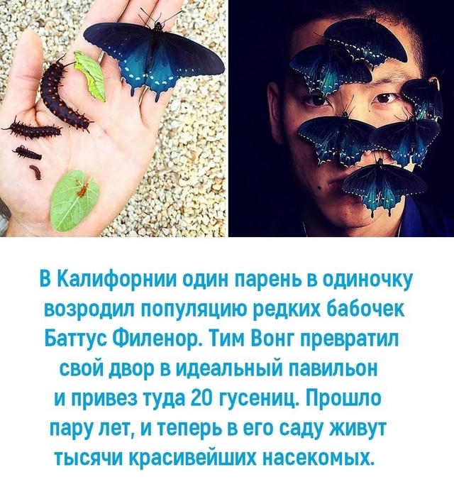 Замечательный пример того, как каждый из нас может улу?...