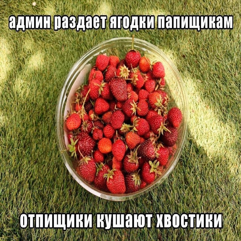 Утренняя подборочка