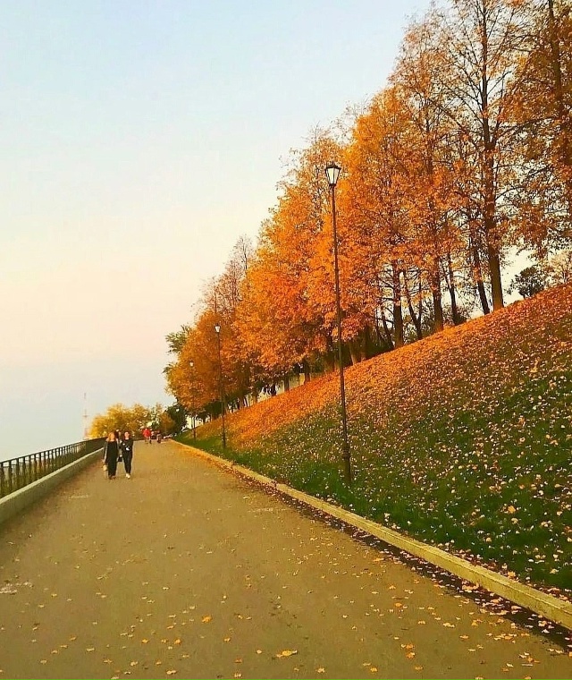 Золотая осень 🍂 в Перми 😍