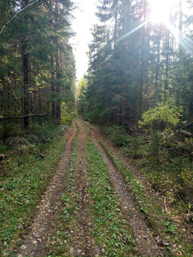 🔥 Крайние теплые деньки. Анон