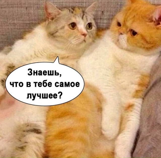 Дела семейные.