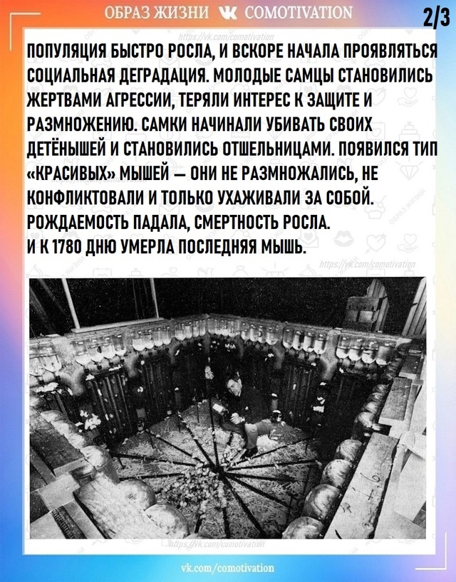 Учёный, который попытался создать рай — и стал свидете...