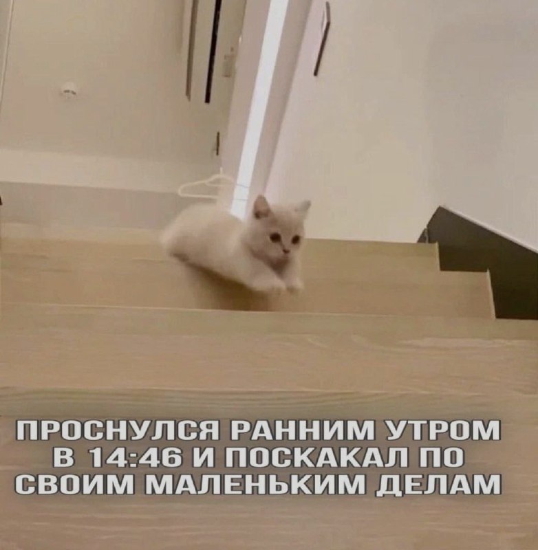 Ночная подборочка
Спать, режим