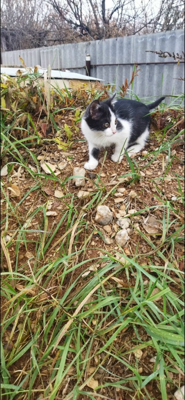 Мы сейчас живем с вами в какое то особое время,время ки?...