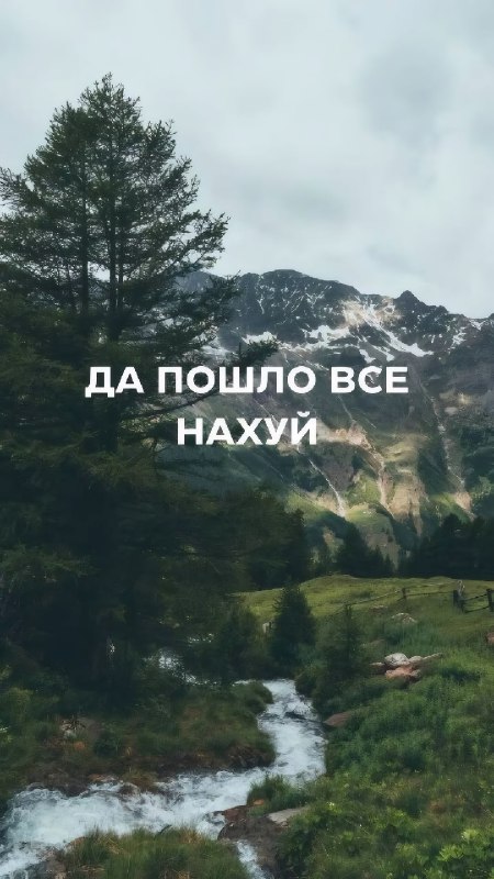 Ловите топовые обои на мобилу — с ними будет проще вывезти даже самые тяжёлые дни
Сохраняем и испол