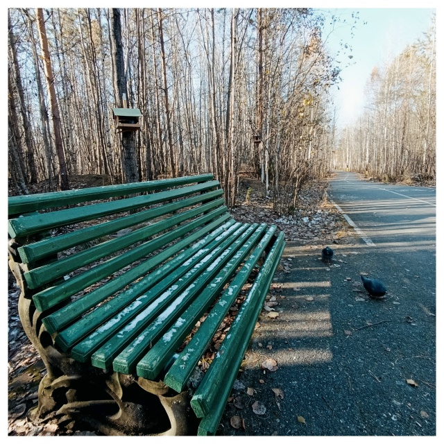 Осенний парк.