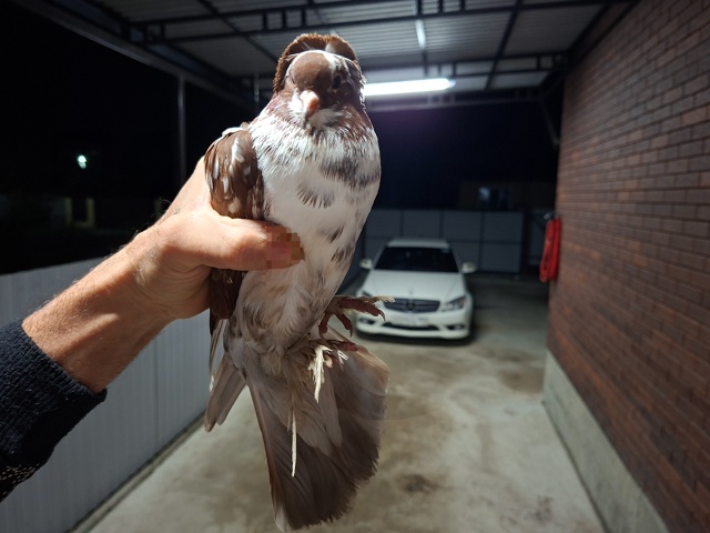 Здравствуйте. Может улетел у кого-то? Уже неделю каждый...