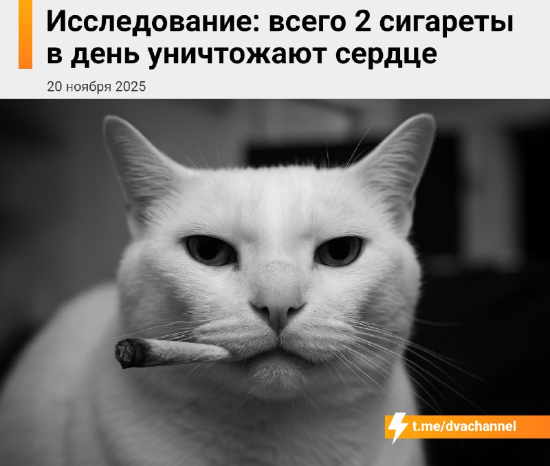 Даже минимальное курение смертельно опасно и уничтожает сердце, доказали учёные из университета Джон