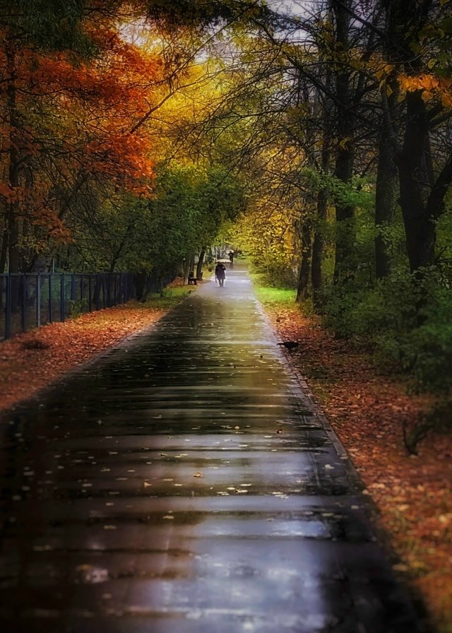 [id209661012|Александр Александров]