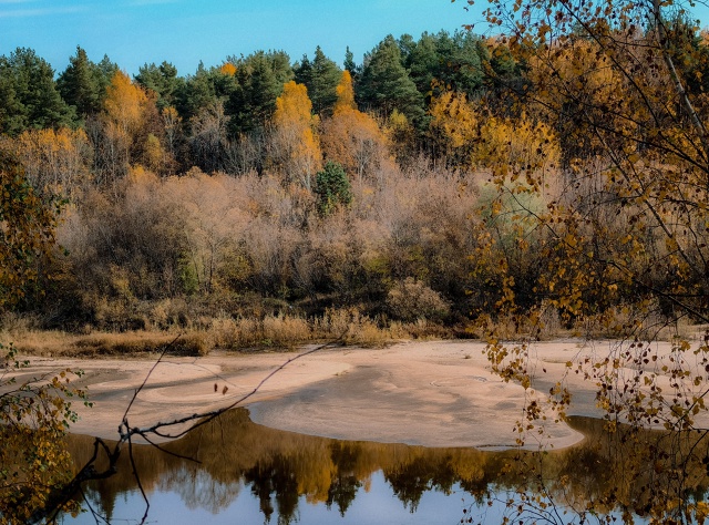 Доброе, осеннее ???
Huawei P60 Pro (lightroom)
#мобильнаяпленка...