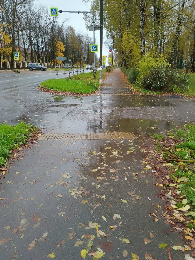 Уважаемый Мосавтодор.
Пожалуйста, очистите от листьев...