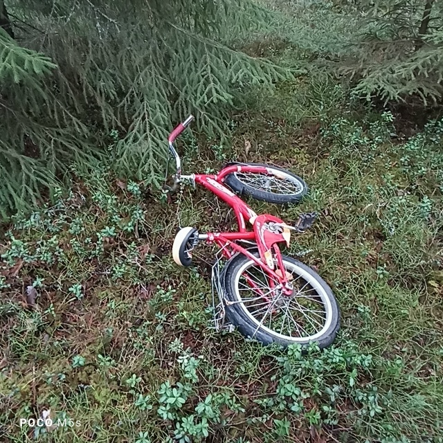 Чей велосипед в парке,пятый день вижу