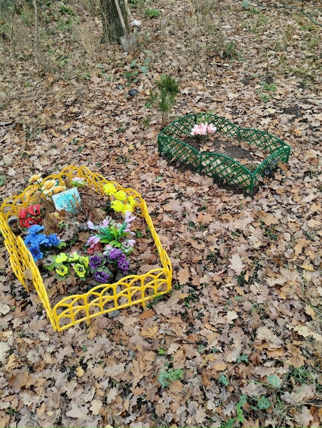 🪦Воронежцы устроили несанкционированное кладбище до...