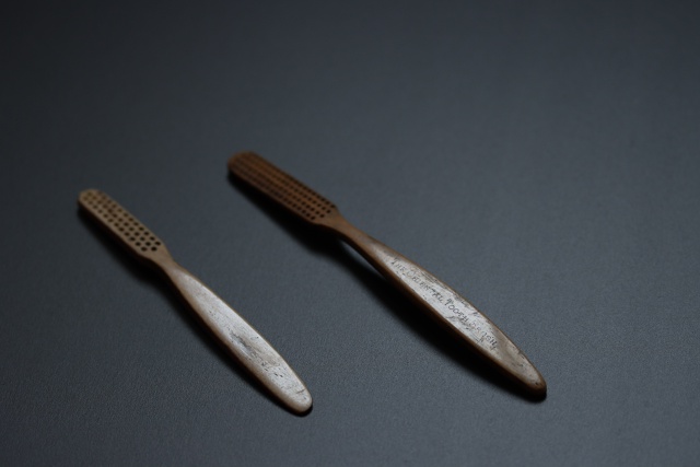 👉Археологи нашли возле СмолГУ две зубные щётки начал?...