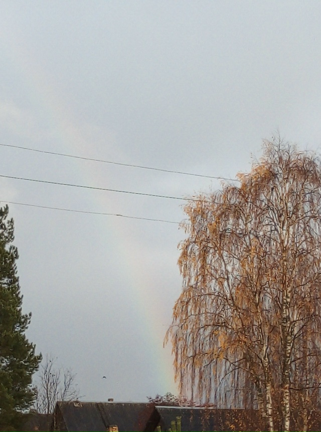 Радуга в октябре ?
#Я_тебя_видел@podslushano_velsk