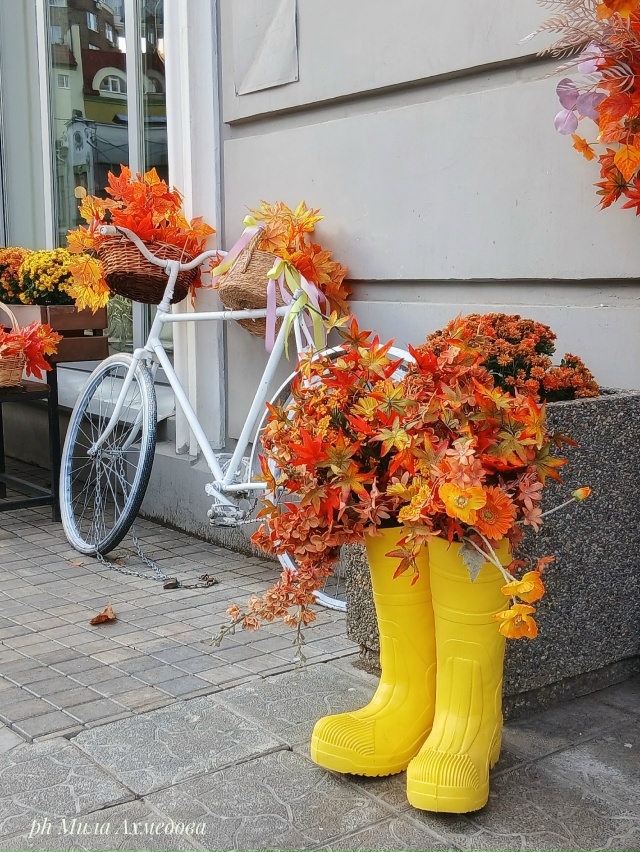 Самара городок.
Последние дни октября.🍂
