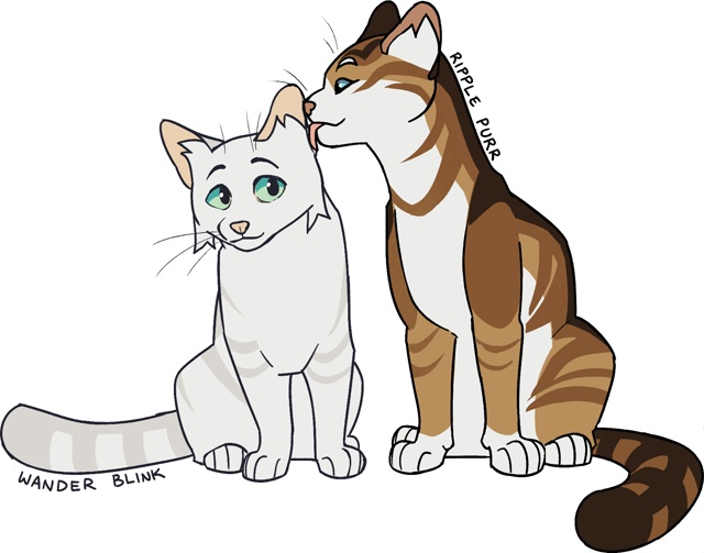 Wander Blink & Ripple Purr
© Nifty-Senpai
#KV_ZZ_ART