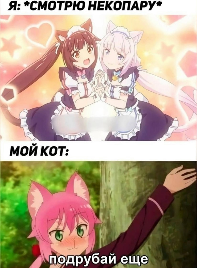 Как вам новая подборка?