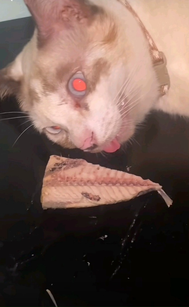 А давайте устроим интерактив и поделимся фотографиями...