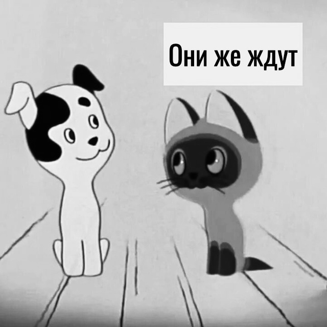 И то верно)