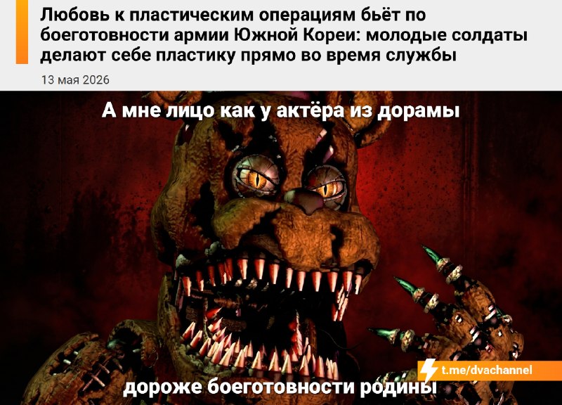 Увлечение пластическими операциями конкретно бьёт по боеготовности армии Южной Кореи: молодые солдат