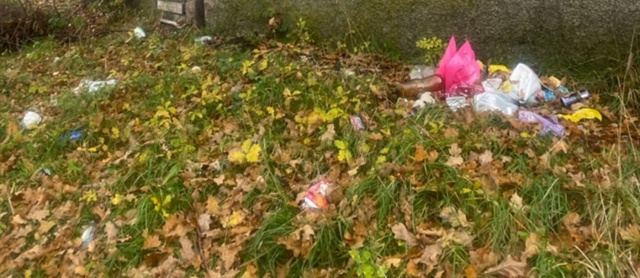 Может проведём какой-то субботник, уж очень много мусо?...