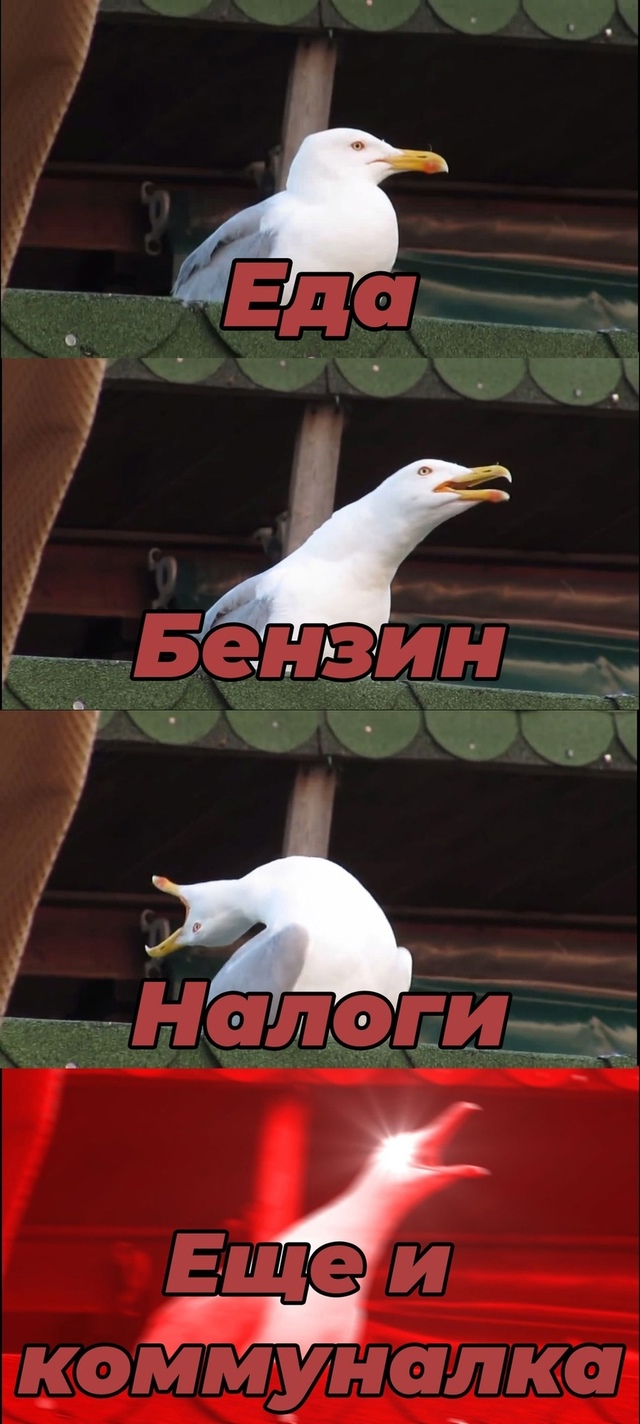 Безумные приколы
В Москве ожидается заметный рост цен ...