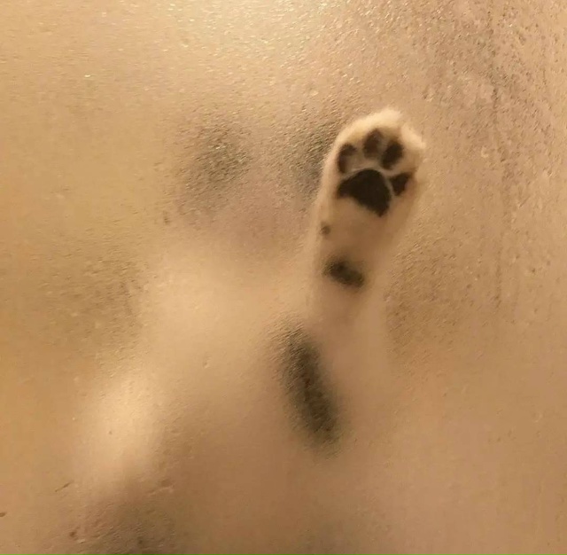 Есть мультик 