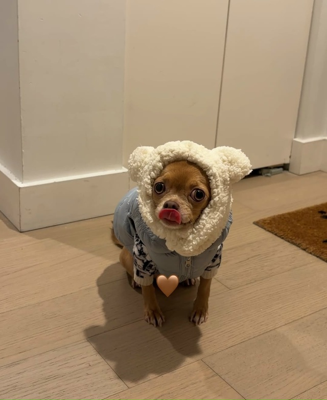 Ну каков красавчик, ну вы только посмотрите