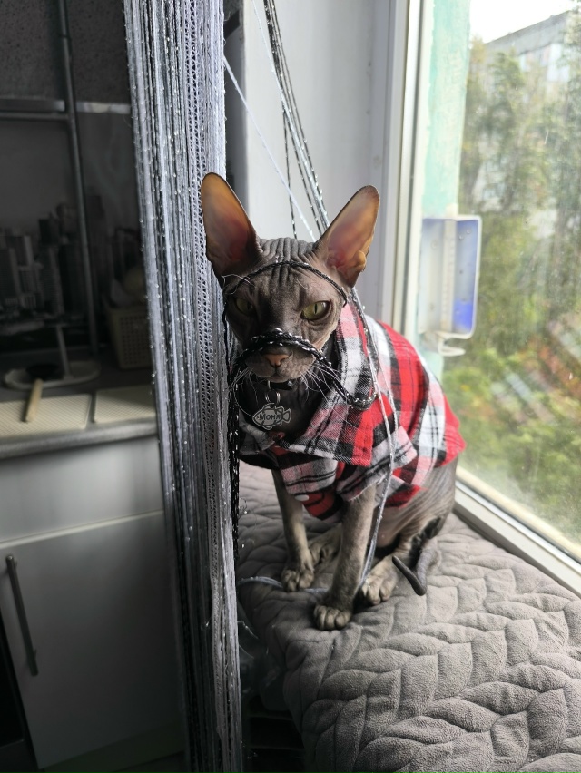 Мам,я красивый?