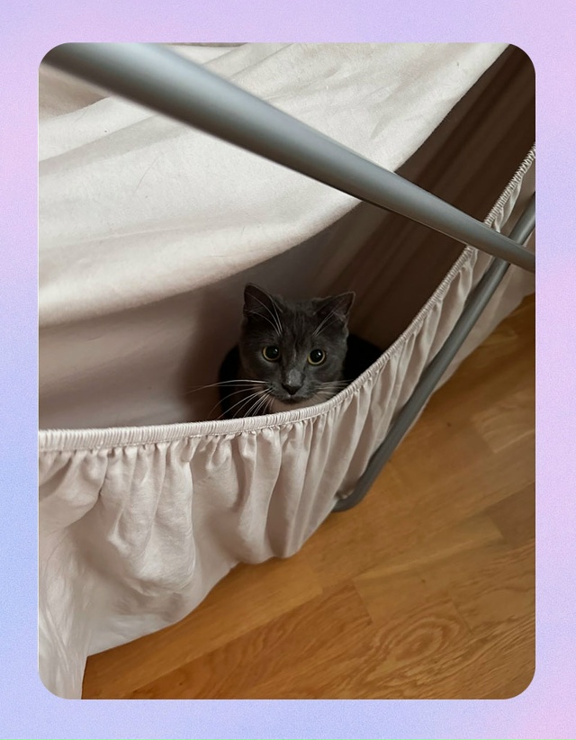 Люди, которые придумали этот замечательный лайфхак, ка...