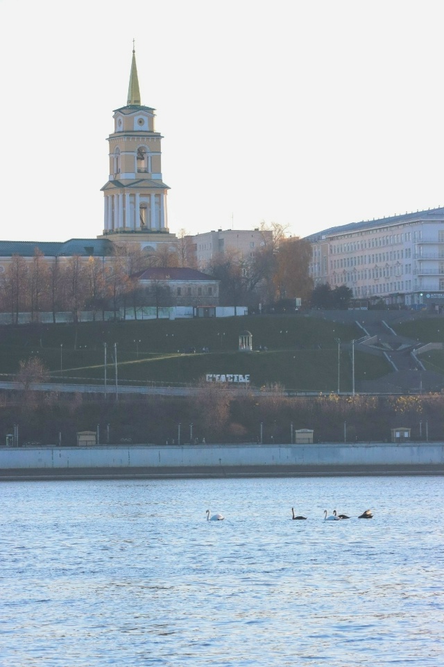 Лебеди на Каме 🦢
📷 Денис Исаков