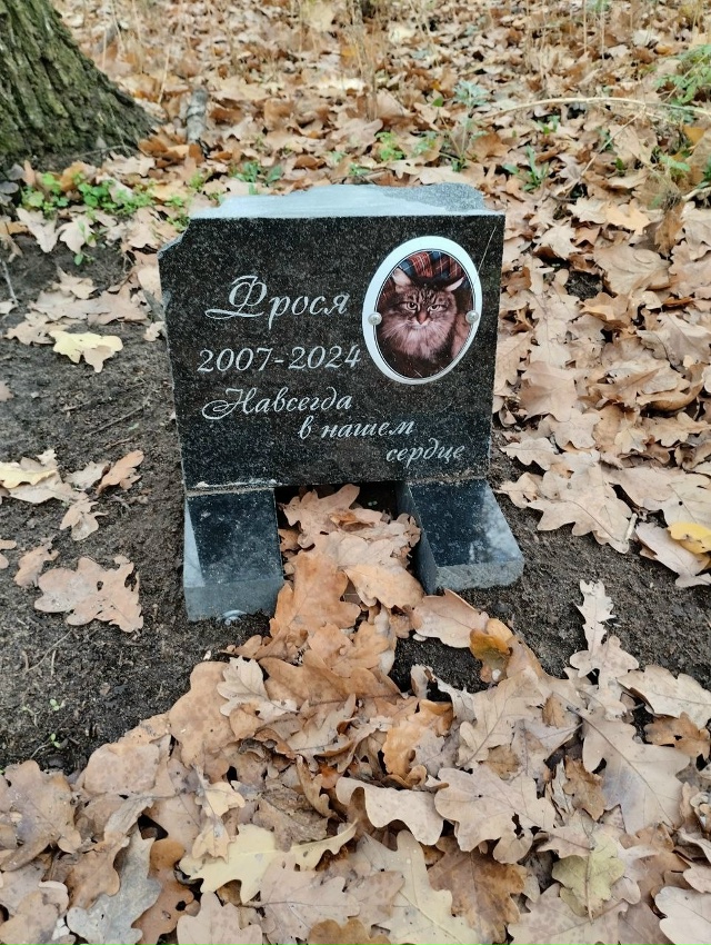 🪦Воронежцы устроили несанкционированное кладбище до...