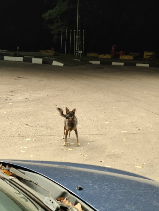 Здравствуйте. Анонимно, пожалуйста.
15.10 вечером была за...