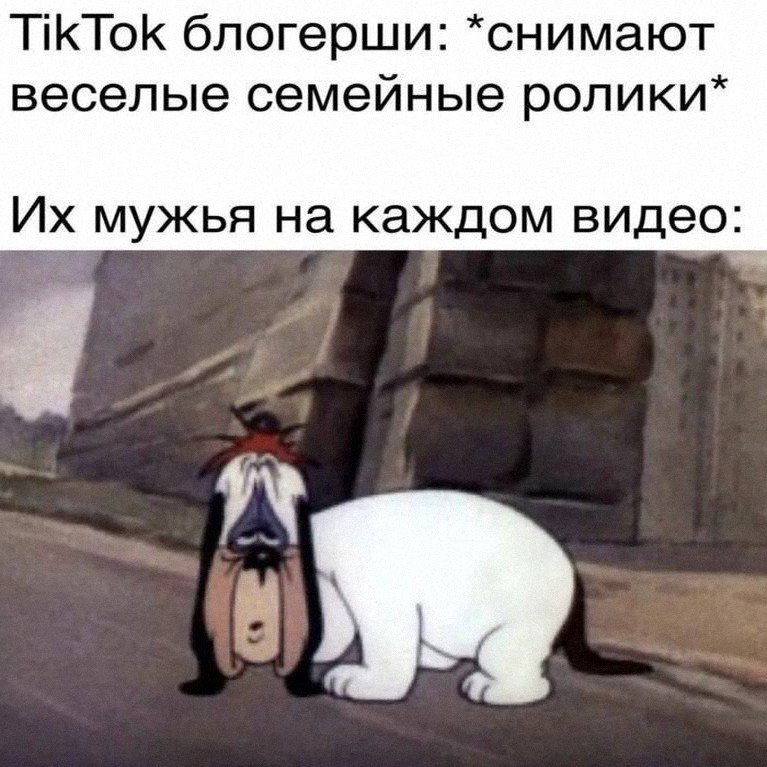 Утренняя подборочка