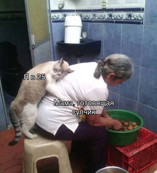 Когда соскучился по домашним супчикам