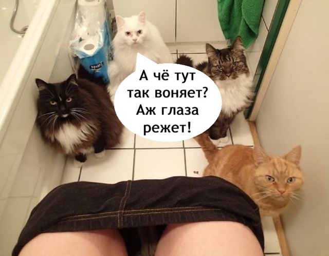 Когда ты сильный и не зависимый