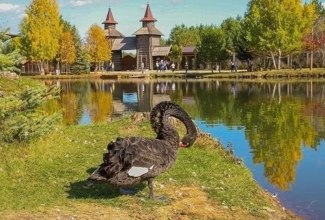✔️ 20 и 27 июля - Парк Луна. Семейная поездка. Из Бузулук?...