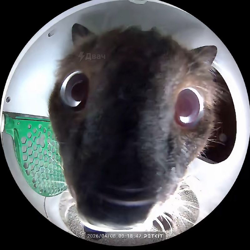 Вас заметили