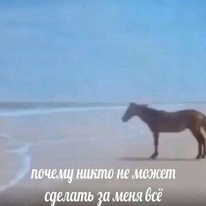 Утренняя подборочка