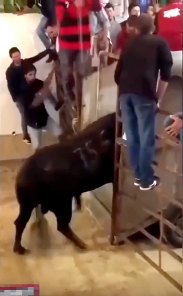 Очень приятный зум получается!!