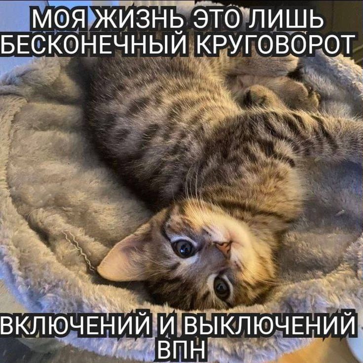 Утренняя подборочка