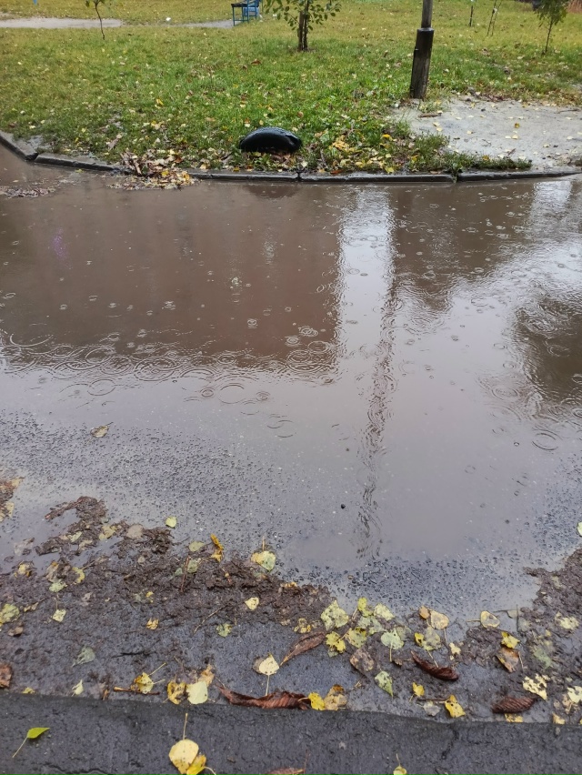 Сколько можно! Возле энергетиков 4 и 15 после дождя скап...