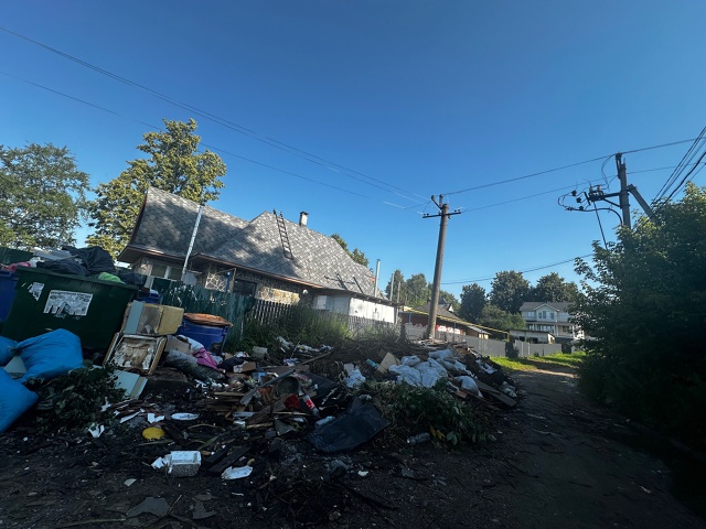 Крик души!!! В городе не убирают мусорки ,а это почти цен...