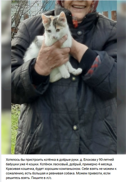 Пост добра. Распространите, пожалуйста.