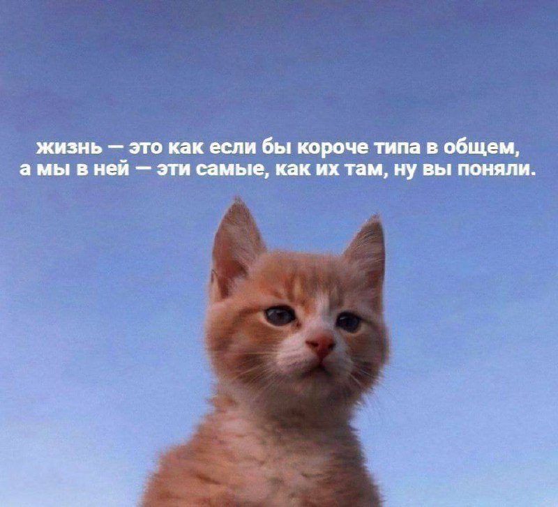 Утренняя подборочка