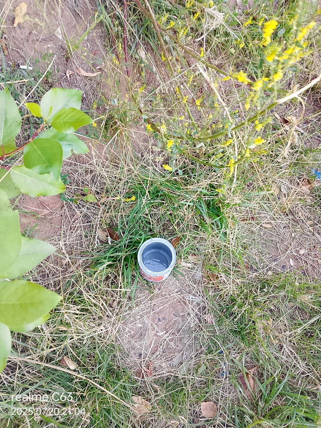 Ну что за свинитво? Если вы красите набережную зачем св...